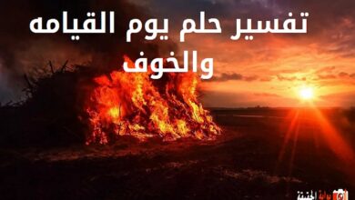 تفسير حلم يوم القيامه والخوف
