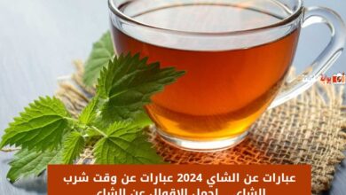 عبارات عن الشاي 2024 عبارات عن وقت شرب الشاي .. اجمل الاقوال عن الشاي