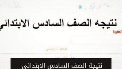 نتيجة الصف السادس الابتدائى 