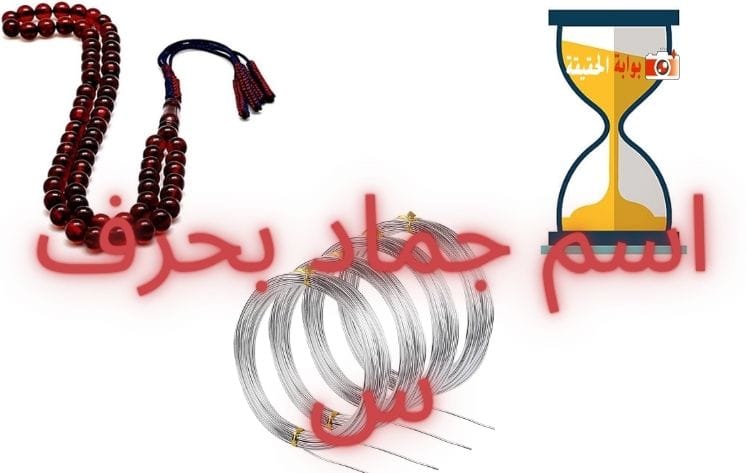 اسم جماد بحرف السين س كامل المعلومات - بوابة الحقيقة