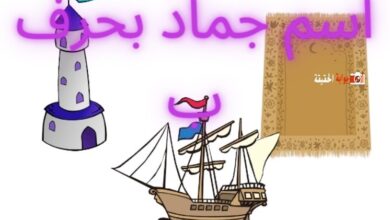 اسم جماد بحرف ب موضح بالتفاصيل