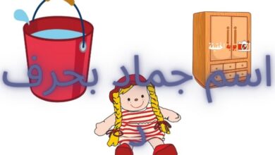 اسم جماد بحرف د بمعلوماته الكاملة