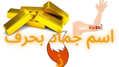 اسم جماد بحرف ذ مع سائر التفاصيل