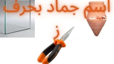 اسم جماد بحرف ز شامل معلوماته بالكامل