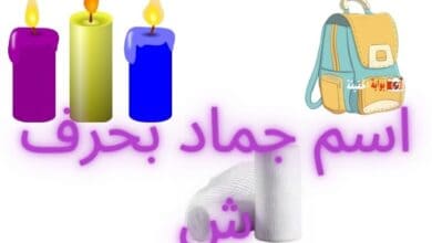 اسم جماد بحرف ش متكامل المعلومات