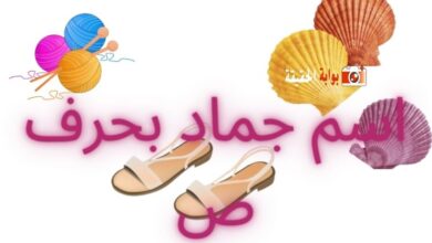 اسم جماد بحرف ص مصاحب لأهم معلوماته