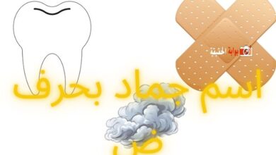 اسم جماد بحرف ض مع أبرز معلوماته