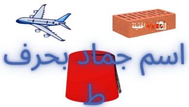 اسم جماد بحرف ط بإضافة معلوماته