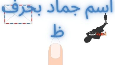 اسم جماد بحرف ظ متضمن أهم المعلومات