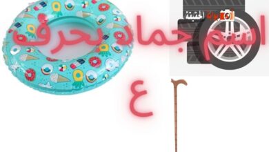 اسم جماد بحرف ع مع إجمالي المعلومات