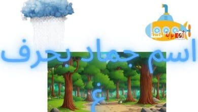 اسم جماد بحرف غ مصاحب لأهم المعلومات