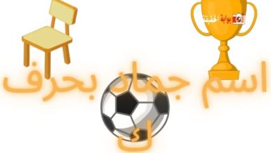 اسم جماد بحرف ك ينطوي على كل المعلومات