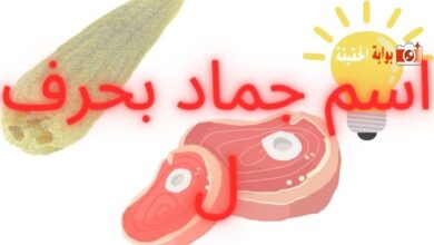 اسم جماد بحرف ل كامل المعلومات