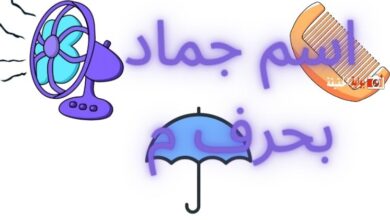 اسم جماد بحرف م يتبعه جميع المعلومات