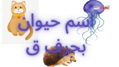 اسم حيوان بحرف ق مع أهم معلوماته