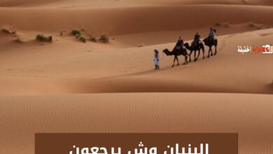 البنيان وش يرجعون 