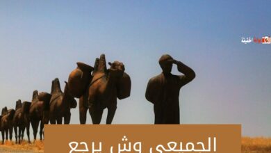 الجميعي وش يرجع