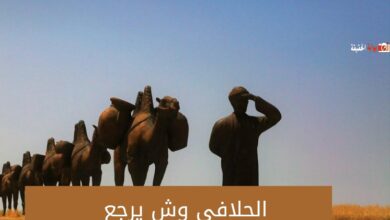 الحلافي وش يرجع 