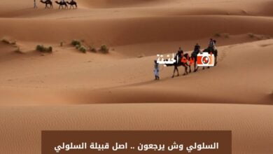 السلولي وش يرجعون .. اصل قبيلة السلولي