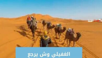 الغفيلي وش يرجع