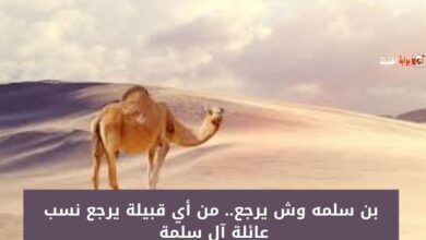 بن سلمه وش يرجع.. من أي قبيلة يرجع نسب عائلة آل سلمة