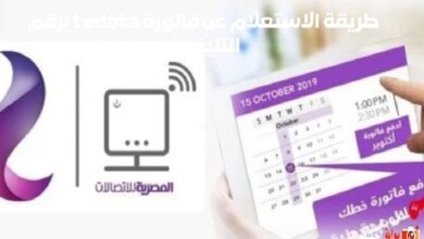 طريقة الاستعلام عن فاتورة tedata برقم التليفون 2024