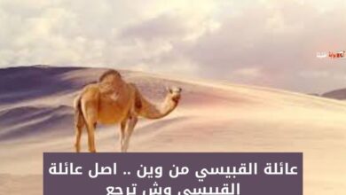 عائلة القبيسي من وين .. اصل عائلة القبيسي وش ترجع