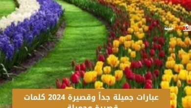 عبارات جميلة جداً وقصيرة 2024 كلمات قصيرة وجميلة 