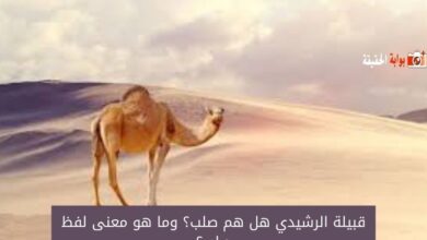 قبيلة الرشيدي هل هم صلب؟ وما هو معنى لفظ صلب؟
