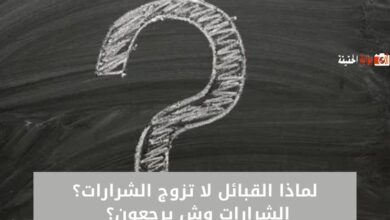 لماذا القبائل لا تزوج الشرارات؟ الشرارات وش يرجعون؟ 