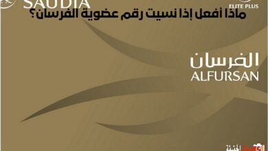 ماذا أفعل إذا نسيت رقم عضوية الفرسان؟.. كيفية استرجاع رقم عضوية الفرسان الخطوط الجوية السعودية 1445