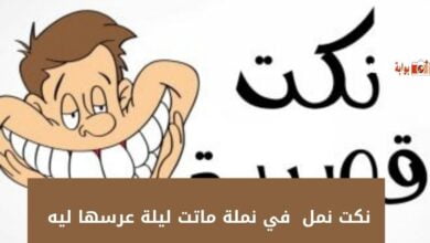 نكت نمل في نملة ماتت ليلة عرسها ليه