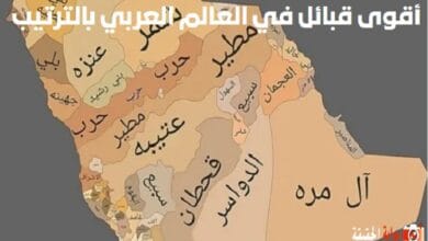 أقوى 5 قبائل في العالم العربي بالترتيب 1446 مع أهم المعلومات عنهم