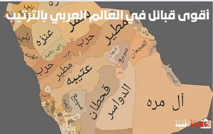 أقوى 5 قبائل في العالم العربي بالترتيب 1446 مع أهم المعلومات عنهم