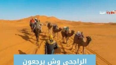 الراجحي وش يرجعون