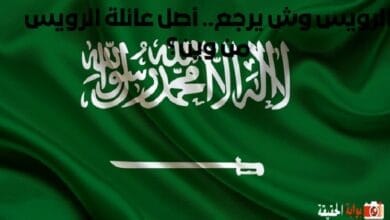 الرويس وش يرجع.. أصل عائلة الرويس من وين؟