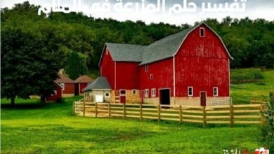 تفسير حلم المزرعة في المنام