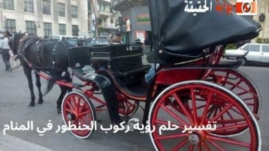 تفسير حلم رؤية ركوب الحنطور في المنام