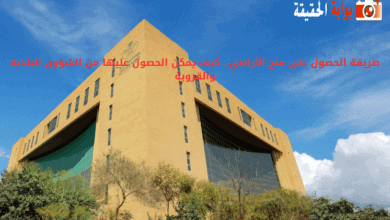 طريقة الحصول على منح الأراضي.. كيف يمكن الحصول عليها من الشؤون البلدية والقروية