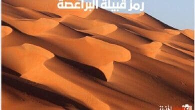 رمز قبيلة البراعصة