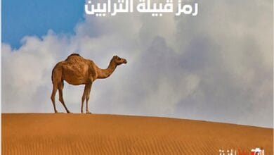 رمز قبيلة الترابين