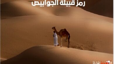 رمز قبيلة الجوابيص