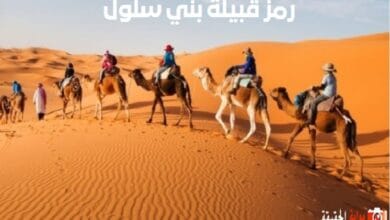 رمز قبيلة بني سلول