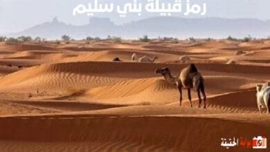 رمز قبيلة بني سليم