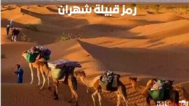 رمز قبيلة شهران