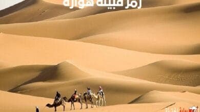 رمز قبيلة هوارة