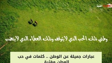 عبارات جميلة عن الوطن .. كلمات في حب الوطن مؤثرة 