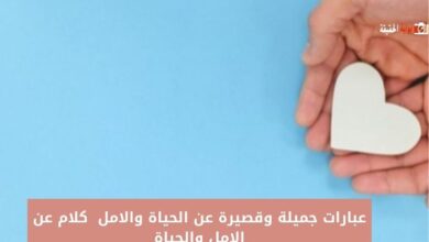 عبارات جميلة وقصيرة عن الحياة والامل  2024 كلام عن الامل والحياة