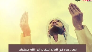 أجمل دعاء في العالم للتقرب إلى الله مستجاب 