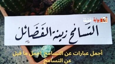 أجمل عبارات عن التسامح اجمل ما قيل عن التسامح